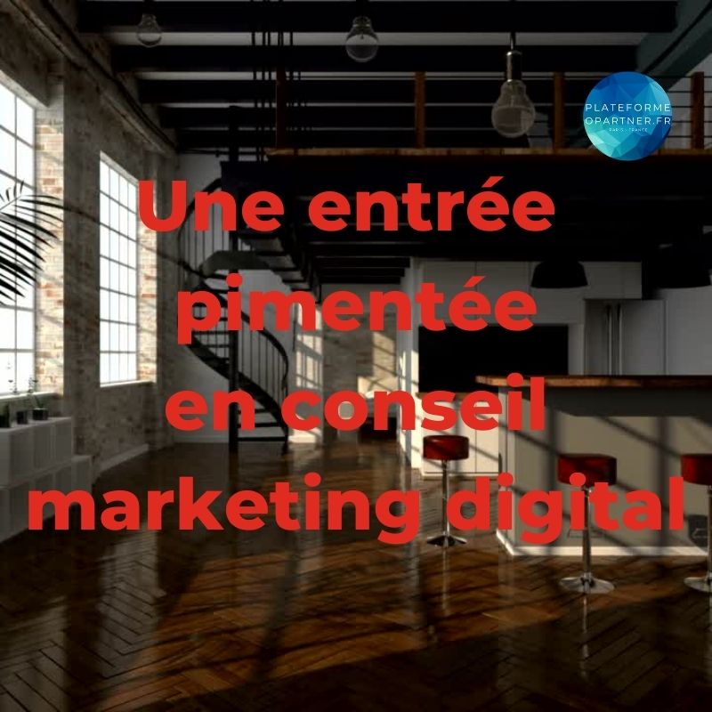 C’est quoi le métier de conseil en marketing digital