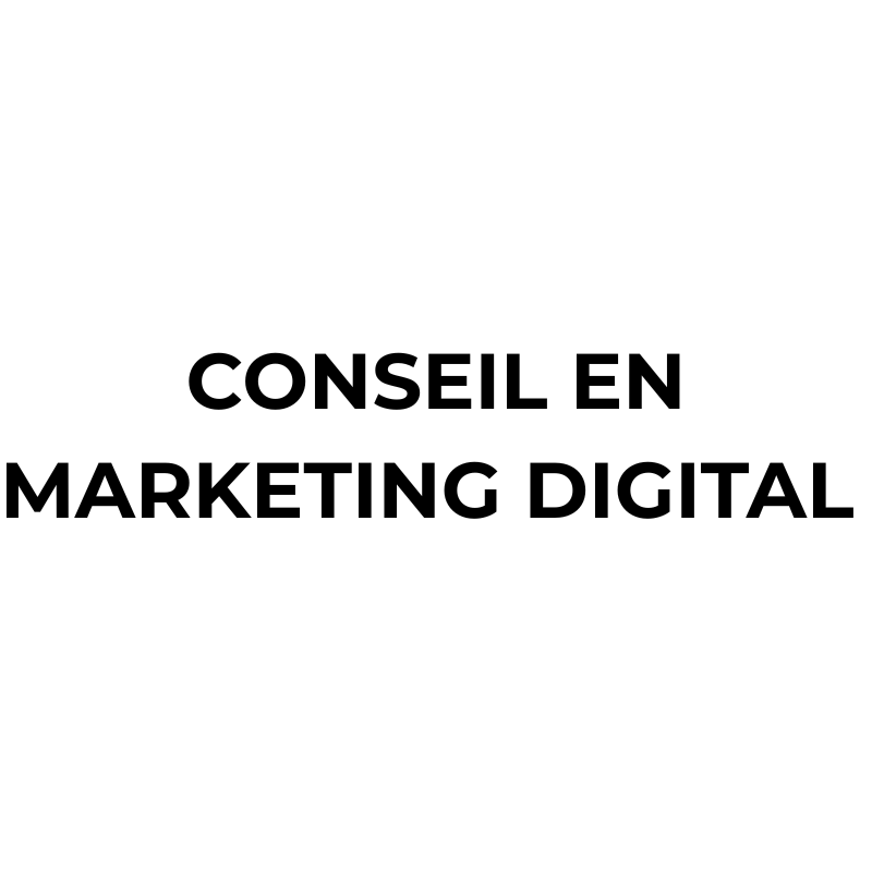 conseil en marketing digital